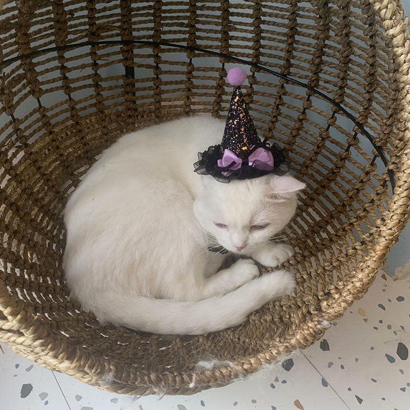 Wholesale Cat and Dog Party Dress-Up  Pet Pointed Hat  Skirt